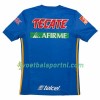 Tigres UANL Uit Shirt 2018-19